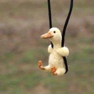 Lipetskyj