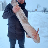 Женя Саечников