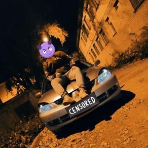 SoNik